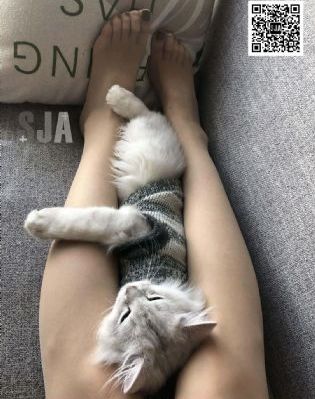 欧美大臂纹身男_BD英语超清在线观看