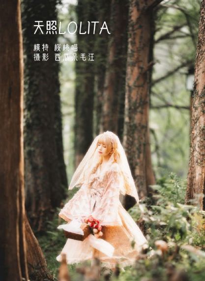 1080p超清免费全集箍_BD免费在线播放